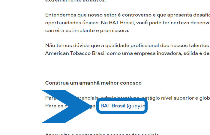 Ideia Livre Jovem Aprendiz BAT Brasil corpo1
