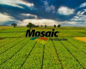 Ideia Livre - Programa de Estágio Mosaic Fertilizantes