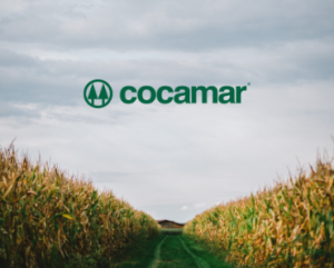 Ideia Livre - Jovem Aprendiz Cocamar (1)